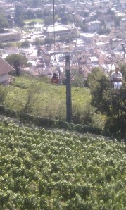 View-chairlift-Merano