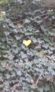 Leaf-heart-Merano