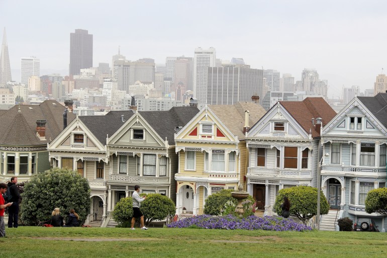 painted ladies