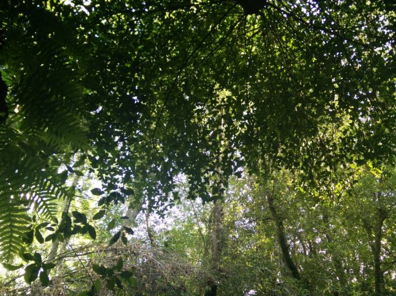 WhatsApp Image 2018-08-28 at 12.35.37