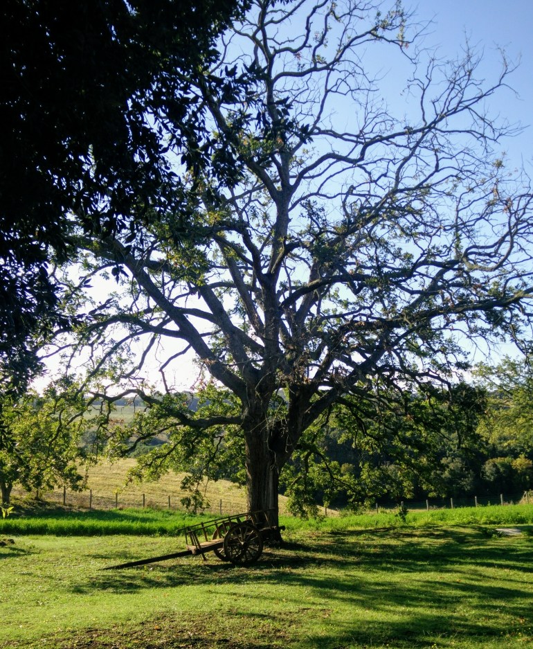 IMG_20180903_091124~2